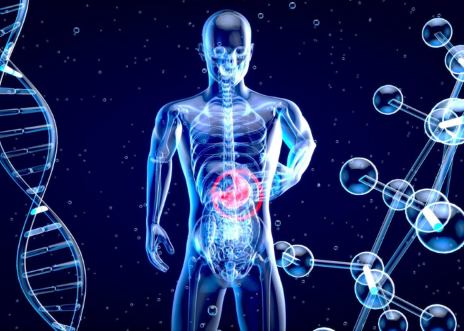 Digestive Health as the Foundation of Overall Body Balance