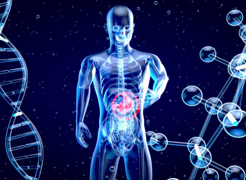 Digestive Health as the Foundation of Overall Body Balance