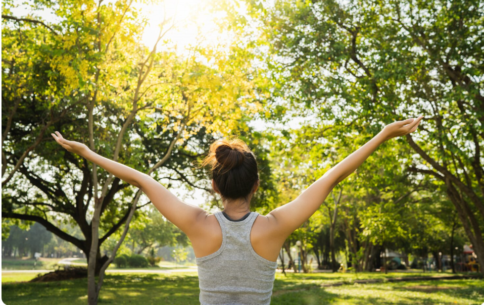 Wellness as a Holistic Approach to Balance, Energy, and Well Being